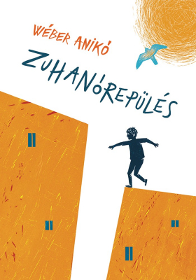 Zuhanórepülés - E-book